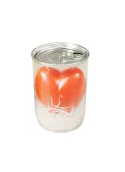 Сувенир растущая травка Сердечко в банке (9х6,5) (611227)