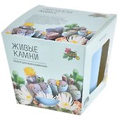Набор д/выращивания растений Магия цветов, Литопсы микс (живые камни) (mf-004) - 0