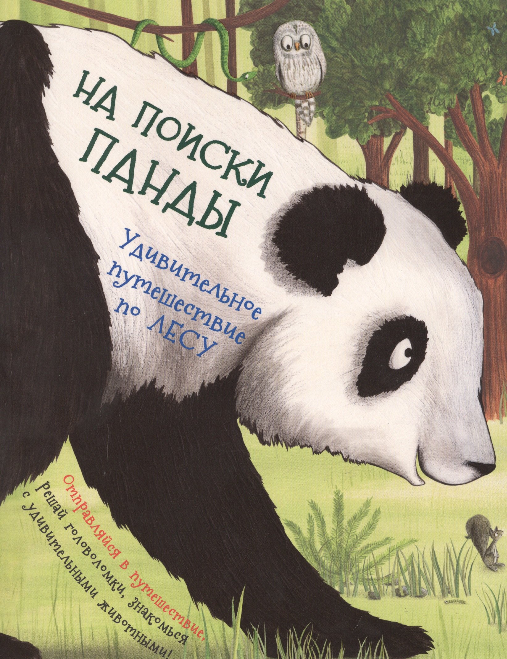 

На поиски панды. Удивительное путешествие по лесу