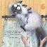 Будем котиков считать! - 2