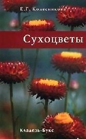 Сухоцветы