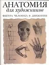 Анатомия для художников.Фигура человека в движении