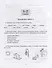 Проверочные работы на все темы школьной программы по русскому языку. 1-4 классы - 2