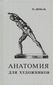 Анатомия для художников