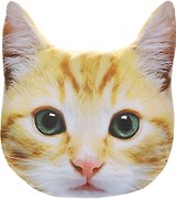 Подушка декоративная Котенок Гриша (40x40см) Gift'n'home (PLW-Face Гриша)