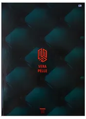 Книга для записей А4 "Vera pelle", 120 л.