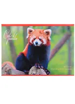 Альбом для рисования Unnika, "Красная панда", А4, 20 листов