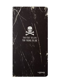Записная книжка «Too fast to live…» А6+, 48 листов в клетку, сшивка, Lenwa