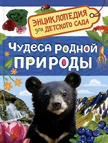 Энциклопедия для детского сада. Чудеса родной природы