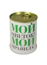 ГИФТМАН Набор для выращивания Мой цветок – мои правила! , ромашка, 9,5*7,5 см