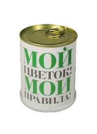 ГИФТМАН Набор для выращивания Мой цветок – мои правила! , ромашка, 9,5*7,5 см