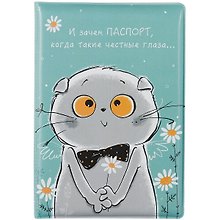 Обложка для паспорта Басик И зачем паспорт (ПВХ бокс) (12-999-27-547)