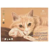 Планшет для пастели «Тёплые цвета», 5 цветов, 15 листов, А3