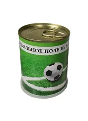 Подарочный набор для выращивания Футбольное поле из банки газонная трава (410480)
