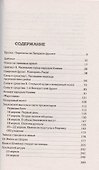 Берлин 45. Сражение в логове зверя - 2