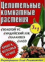 Целительные комннатные растения: Золотой ус, индийский лук, каланхоэ, алоэ