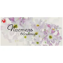 Пастель сухая, 60 цветов