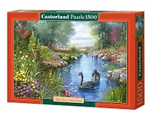 Пазл «Чёрные лебеди» 1500 элементов, Castorland