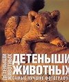 Детеныши животных. Альбом. Самые лучшие фотографии - 0