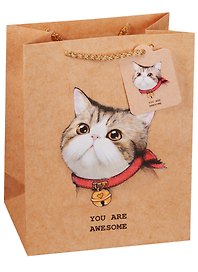 Пакет подарочный бумажный А5 "Awesome cat",  детский