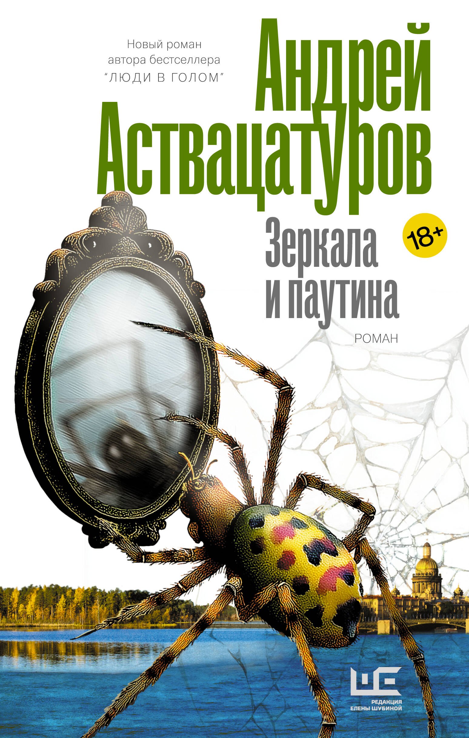 

Зеркала и паутина