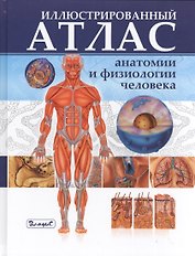 Иллюстрированный атлас анатомии и физиологии человека