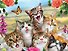 Пазл 63 Super 3D Kids Кошки селфи (31х23) (4+) (13634) (коробка) - 2