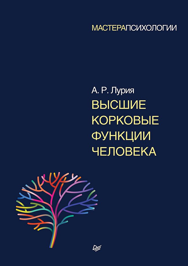 

Высшие корковые функции человека
