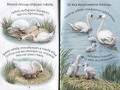 Круглый год - 2