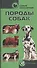 Самые популярные породы собак - 2