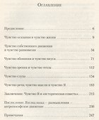 Двенадцать чувств. Врата души: введение в антропософию - 1