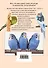Волнистый попугайчик : наглядное пособие по уходу - 1