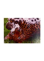 Набор ТМ Рыжий Кот Раскраска на картоне A3 Игривый леопард (Арт. Р-2269)