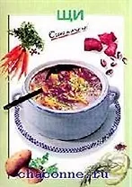 Щи
