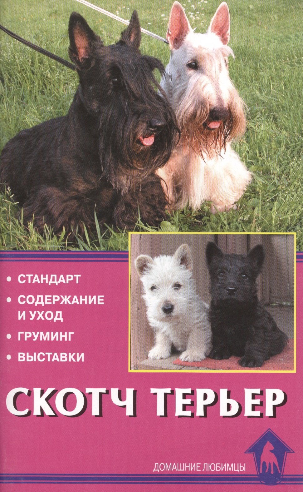 

Скотч терьер. Стандарты. Содержание и уход. Груминг. Выставки