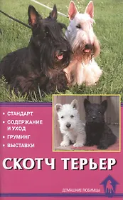 Скотч терьер. Стандарты. Содержание и уход. Груминг. Выставки