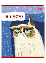 Тетрадь в линейку Hatber, "Кот-обормот", 48 листов, в ассортименте