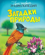 Загадки природы