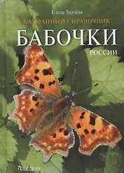 Бабочки  России. Карманный справочник