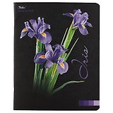 Тетрадь в клетку Hatber, Flower on black, 48 листов, в ассортименте