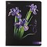 Тетрадь в клетку Hatber, Flower on black, 48 листов, в ассортименте - 0