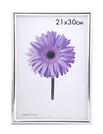 Рамка Maria Серебро 21*30см пластиковая