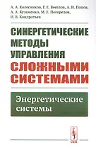 Синергетические методы управления сложными системами. Энергетические системы