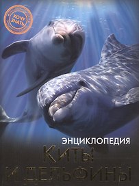 Киты и дельфины