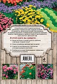 Цветники, розарии, клумбы - 1