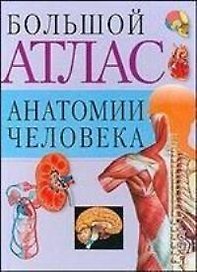 Атлас анат.чел.(св.бол)60х90/8