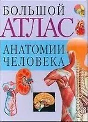Атлас анат.чел.(св.бол)60х90/8