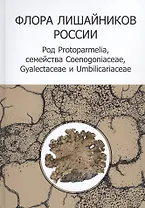 Флора лишайников России: Род Protoparmelia, семейства Coenogoniaceae, Gyalectaceae и Umbilicariaceae (+CD)