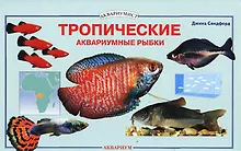 Аквариум с тропическими рыбками