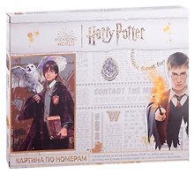 Картина-раскраска по номерам «Поттер и Сова», 30 х 40 см, Wizarding World
